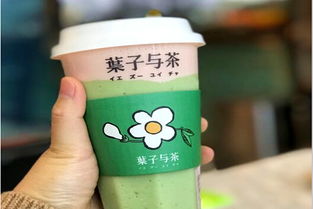 加盟葉子與茶需多少費用？冰淇淋加盟機遇解析